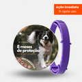 SafePet - Colar Anti Pulgas e Carrapatos